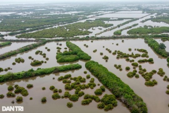 Earth's Hidden Treasures: More Than Just Pretty Places