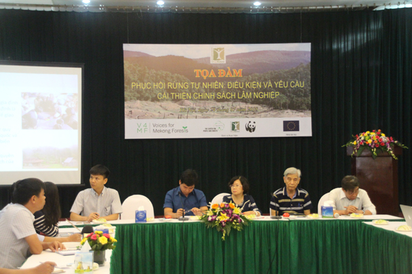 Phục hồi rừng tự nhiên: Điều kiện và yêu cầu cải cách chính sách lâm nghiệp