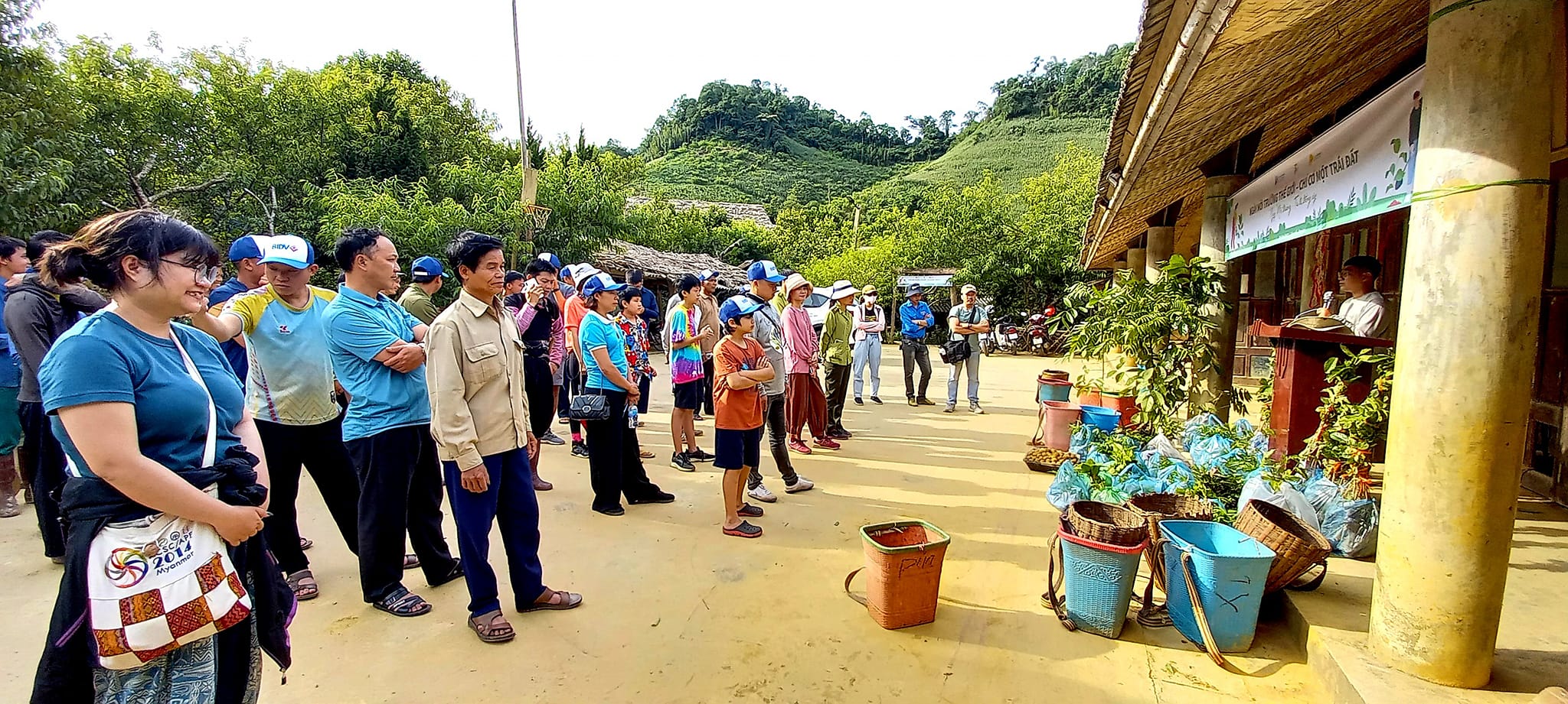 Trồng gần 6.000 cây làm thức ăn cho vượn đen má trắng ở Vân Hồ, Sơn La