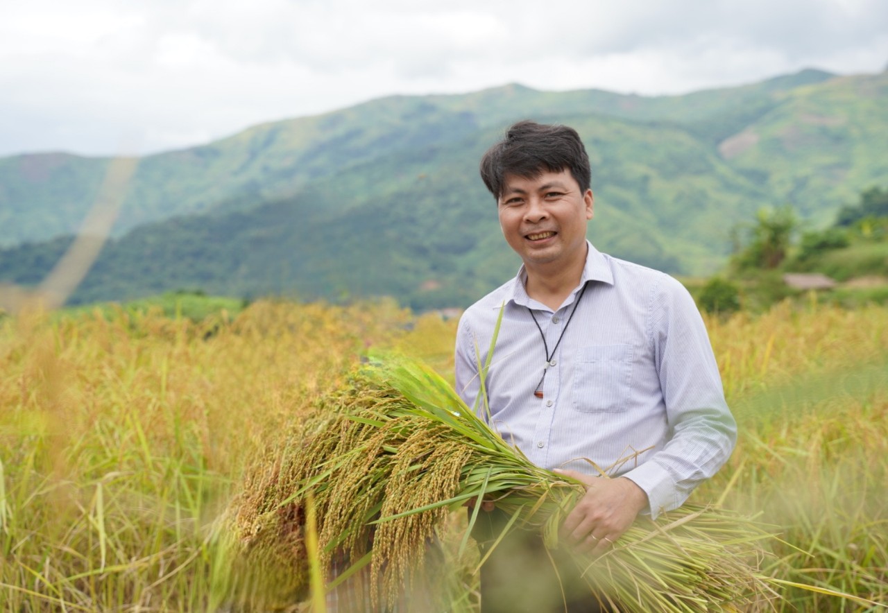 Người truyền cảm hứng làm nông nghiệp ứng phó biến đổi khí hậu ở xã bản vùng cao, đưa cây lúa địa phương thành “đặc sản 3 sao” nức tiếng