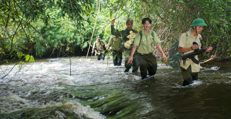 Để máu thú rừng thôi chảy