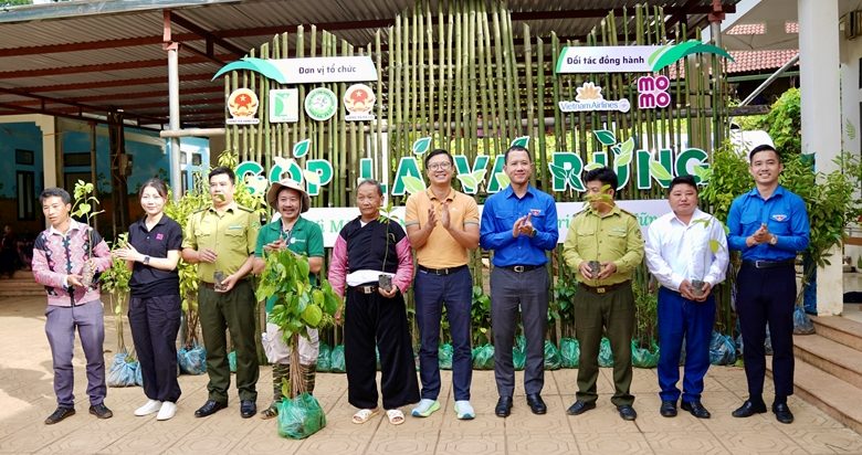 Góp Lá Vá Rừng bắt đầu phục hồi hàng chục hecta rừng đầu tiên