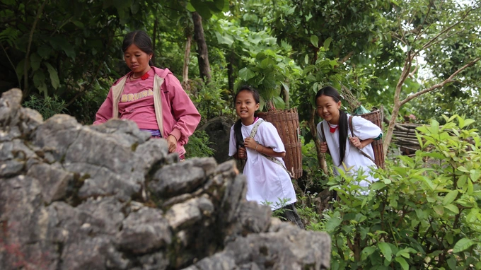 “Góp lá vá rừng” vì một Việt Nam xanh