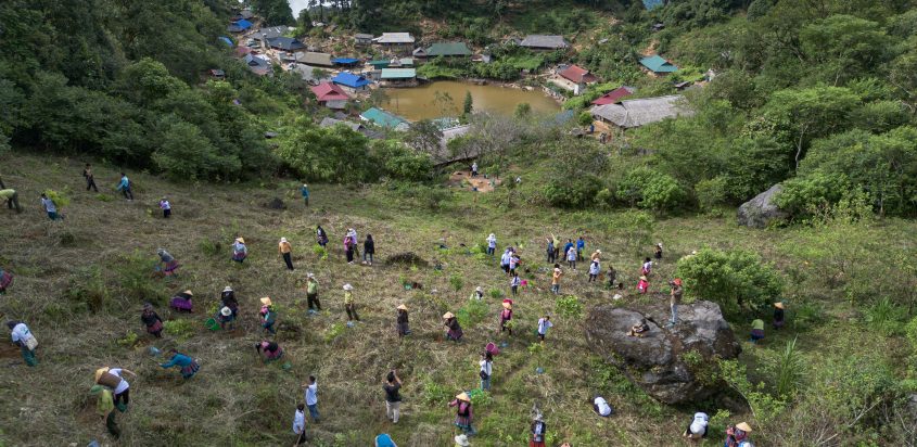 Hợp tác đa bên vì rừng xanh lên