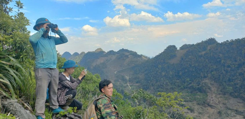Tuần tra rừng và giám sát Vượn đen má trắng tại Vân Hồ
