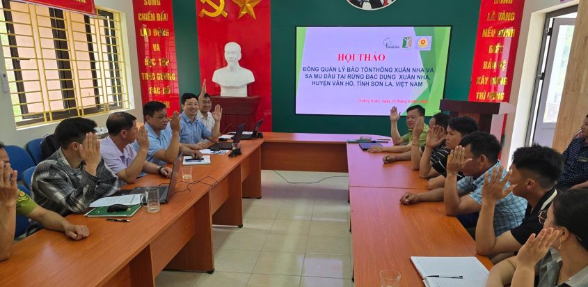 Thúc đẩy đồng quản lý bảo tồn loài cây quý hiếm tại Rừng đặc dụng Xuân Nha