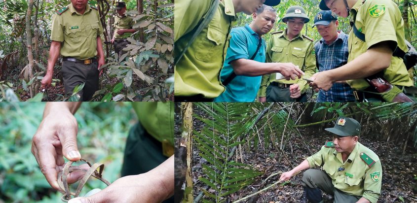 Bảo vệ động vật hoang dã: ‘Cầu chưa dứt, cung chưa ngừng’