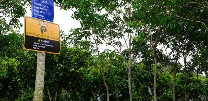 Công bố báo cáo HCV tại các nông trường cao su Dakruco – Giai đoạn 2