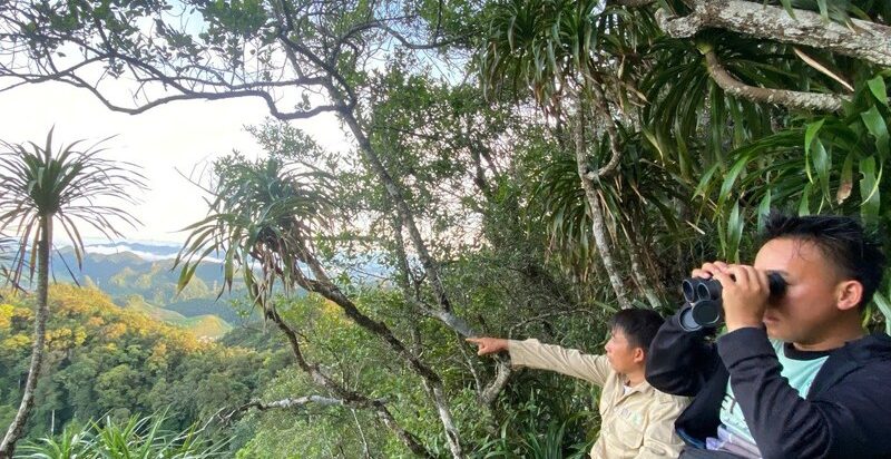 Khảo sát tổng thể quần thể Vượn đen má trắng đầu tiên tại Vân Hồ