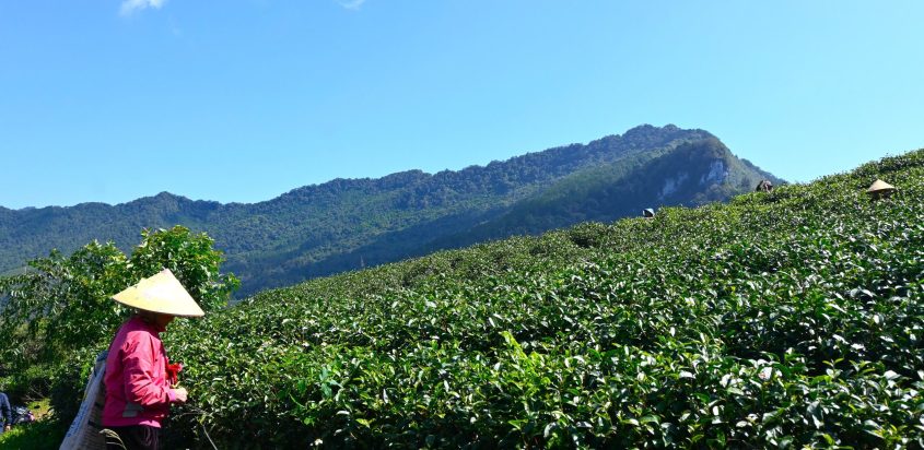 Thúc đẩy vai trò Liên hiệp các Hội địa phương trong bảo tồn đa dạng sinh học tại Cao Bằng