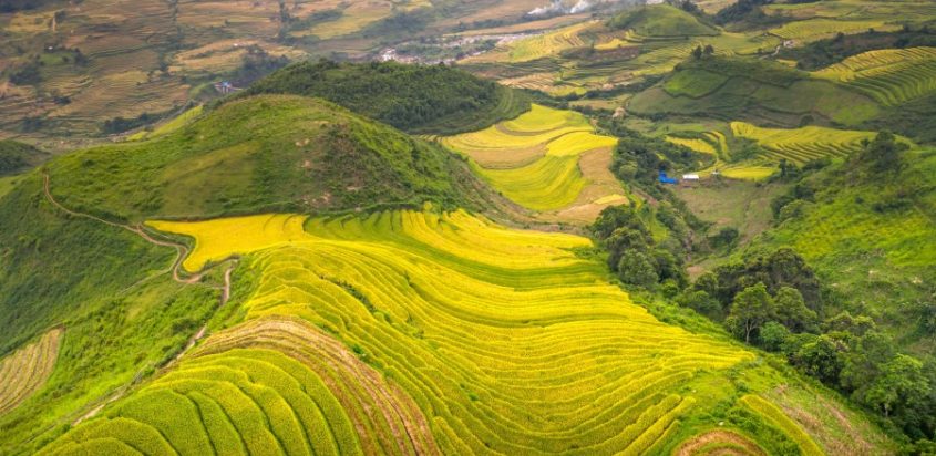 Giải pháp dựa vào thiên nhiên và khoảng cách giữa khái niệm với thực tiễn