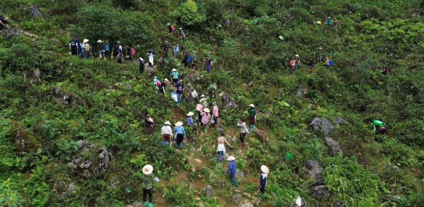Phục hồi rừng và bù đắp phát thải: Thông tin cơ bản dành cho doanh nghiệp
